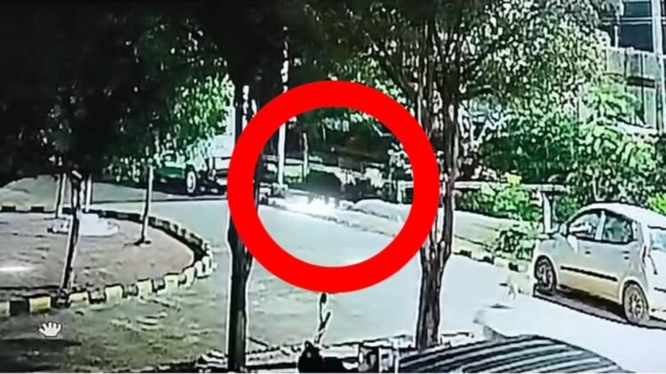 बालोद जिला अस्पताल में घुसा भालू, रात 1 बजे मची अफरा-तफरी; वीडियो आया सामने