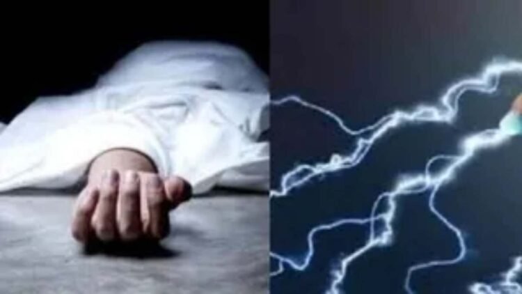 33KV हाईवोल्टेज तार ने ली जान, पेड़ की डाली काटते समय करंट की चपेट में आया युवक