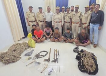 बीजापुर में वन्यजीव शिकार पर बड़ी कार्रवाई, संभावित नीलगाय के मांस समेत 6 आरोपी गिरफ्तार