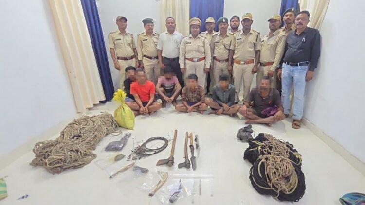 बीजापुर में वन्यजीव शिकार पर बड़ी कार्रवाई, संभावित नीलगाय के मांस समेत 6 आरोपी गिरफ्तार