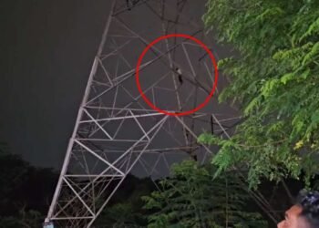 भाई से विवाद के बाद हाईटेंशन टावर पर चढ़ा युवक, 2 घंटे चला हाईवोल्टेज ड्रामा; समझाकर उतारा नीचे