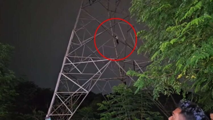 भाई से विवाद के बाद हाईटेंशन टावर पर चढ़ा युवक, 2 घंटे चला हाईवोल्टेज ड्रामा; समझाकर उतारा नीचे