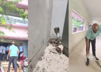 धमतरी के स्कूल में निकला कोबरा, छात्रों में मची अफरा-तफरी; स्नेक रेस्क्यूअर ने किया सुरक्षित रेस्क्यू