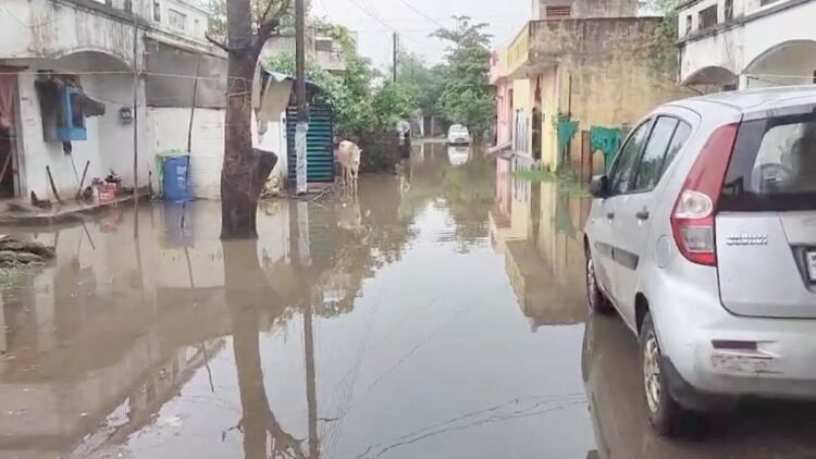सेजबहार हाउसिंग बोर्ड कॉलोनी में जलभराव से बढ़ी परेशानी, गंदे पानी और मच्छरों से रहवासी हलाकान