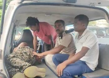 लकड़ी काटने से रोकना फॉरेस्ट गार्ड को पड़ा भारी, लट्ठे से हमला कर किया घायल