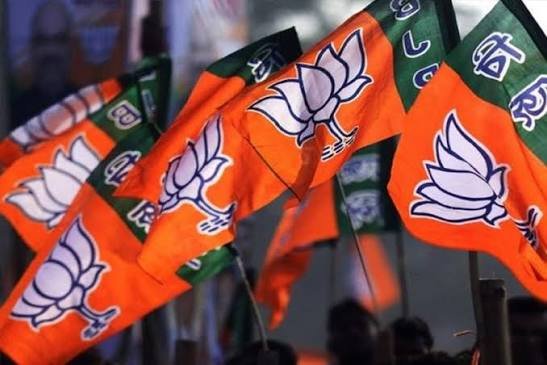 छत्तीसगढ़ BJP में बड़े संगठनात्मक बदलाव के संकेत, जल्द हो सकता है कार्यकारी अध्यक्ष का ऐलान