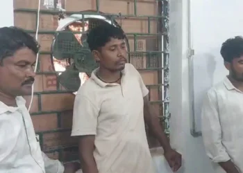 वन विभाग की बड़ी कार्रवाई, सांभर का शिकार करने वाले 3 ग्रामीण गिरफ्तार