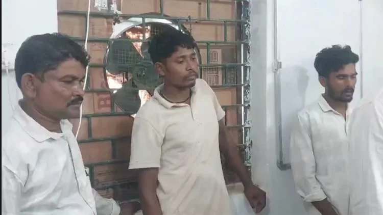 वन विभाग की बड़ी कार्रवाई, सांभर का शिकार करने वाले 3 ग्रामीण गिरफ्तार