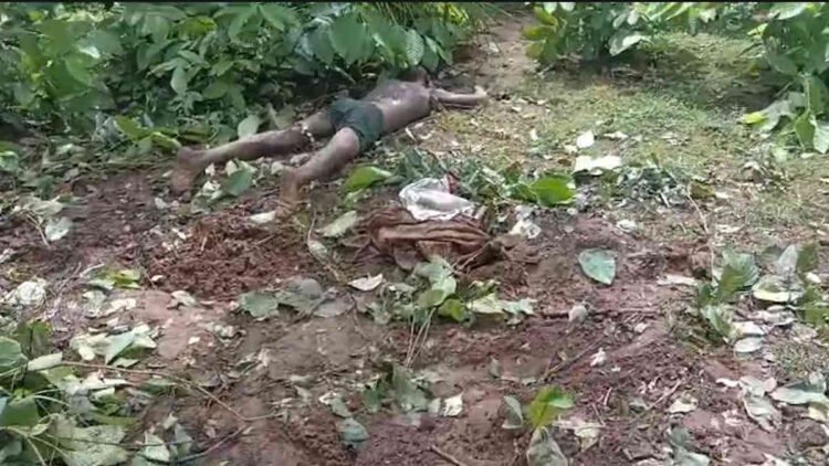 कोरबा में लोनर हाथी का हमला, खेत से लौट रहे किसान की मौत