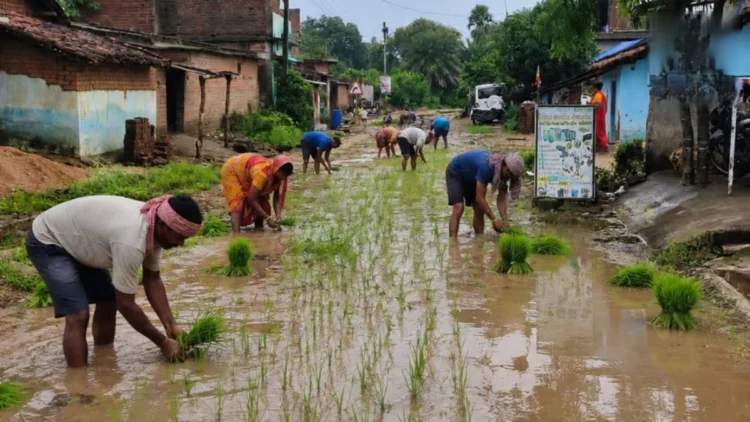सड़क पर धान रोपकर ग्रामीणों का अनोखा प्रदर्शन, 100 मीटर मार्ग बारिश में बन जाता है कीचड़
