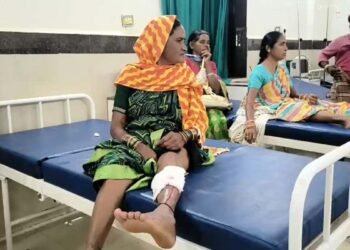 बालोद में आवारा कुत्ते का आतंक, 13 लोगों को बनाया शिकार; 3 की हालत गंभीर