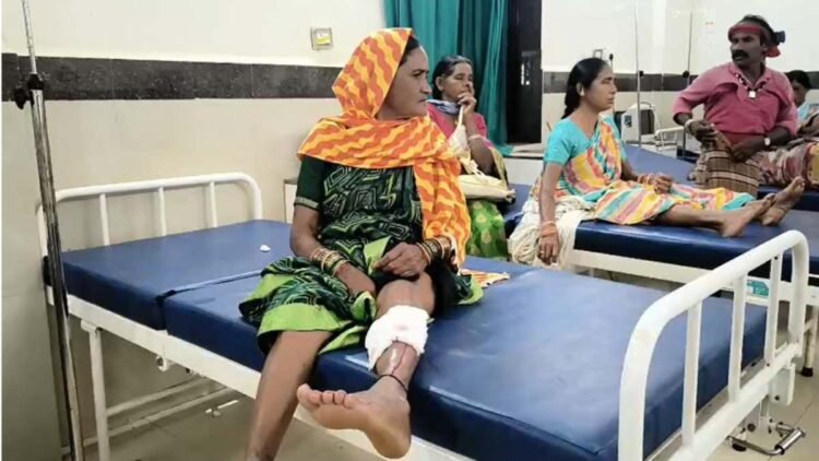 बालोद में आवारा कुत्ते का आतंक, 13 लोगों को बनाया शिकार; 3 की हालत गंभीर