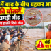 महानदी में बाढ़ के बीच बहकर आईं शराब की बोतलें, पकड़ने उमड़ी भीड़; जान जोखिम में डालते दिखे लोग
