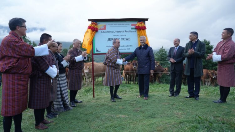 भूटान पहुंचीं भारत की 43 जर्सी गायें, बढ़ेगा दुग्ध उत्पादन