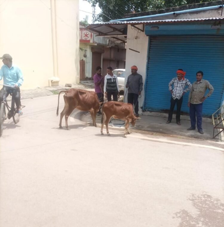 नगर निगम के कोउ कैचर दल के शासकीय कार्य में बाधा पहुंचाने पर महिला के खिलाफ FIR दर्ज
