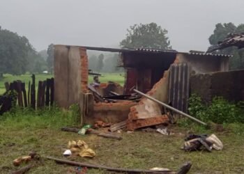 मनेन्द्रगढ़ में हाथियों का आतंक, तीन घरों को किया क्षतिग्रस्त; तीन परिवार बेघर
