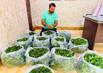 तीजा पर 1000 घरों में पहुंचा करेला, आकाश तिवारी ने निभाई 7 साल पुरानी परंपरा