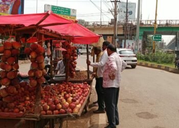 पावर हाउस चौक से सड़क किनारे लगे अवैध फल ठेले हटाए गए, यातायात सुगम बनाने निगम की कार्रवाई