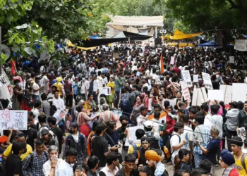 सुप्रीम कोर्ट का बड़ा फैसला: कॉकरोच जनता पार्टी आंदोलन से जुड़ी सभी FIR रद्द, अनुच्छेद 142 का किया इस्तेमाल