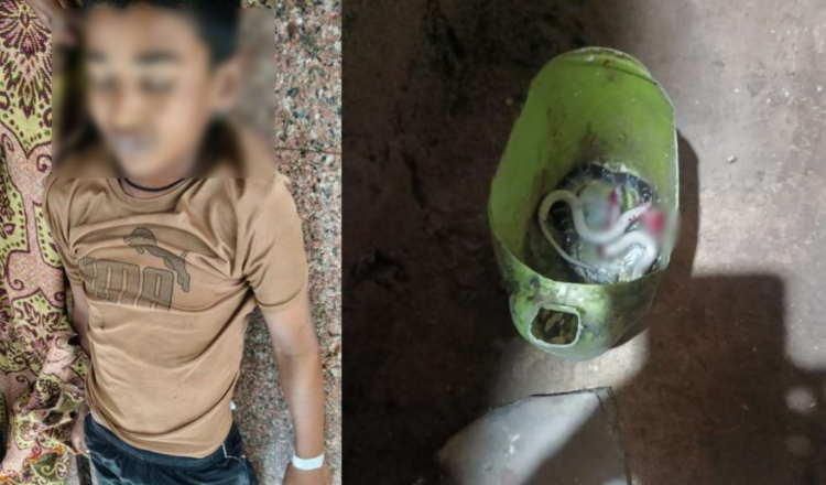 घर में सो रहा था 13 साल का गिरिराज, करैत ने दो बार डसा; इलाज के दौरान तोड़ा दम