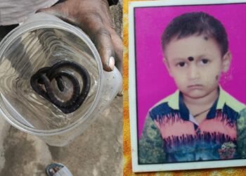 बिस्तर में छिपे जहरीले सांप ने डसा, 10 साल के बच्चे की मौत