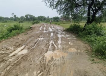 सीएम पोर्टल की शिकायतों की जांच में खानापूर्ति का आरोप, 5 पंचायतों पर उठे सवाल