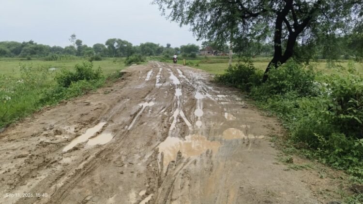 सीएम पोर्टल की शिकायतों की जांच में खानापूर्ति का आरोप, 5 पंचायतों पर उठे सवाल