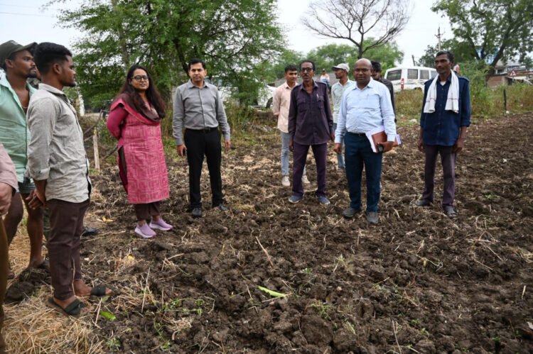 चक्रवाती बारिश से फसलों को नुकसान की आशंका, खेतों में पहुंचीं कवर्धा कलेक्टर तुलिका प्रजापति