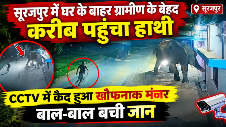सूरजपुर में घर के बाहर ग्रामीण के बेहद करीब पहुंचा हाथी, CCTV में कैद हुआ खौफनाक मंजर; बाल-बाल बची जान