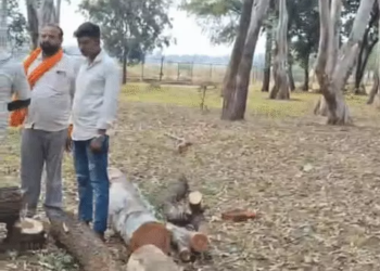चित्रोत्पला फिल्म सिटी के लिए पेड़ों की कटाई का विरोध तेज, स्मृति ईरानी को पत्र लिखकर रोक लगाने की मांग; 1100 पौधे लगाने के दावे पर भी उठे सवाल