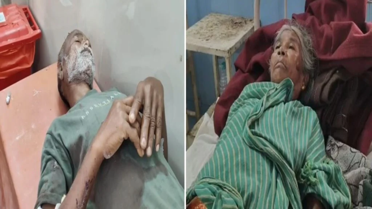 धमतरी में घर के अंदर घुसा तेंदुआ, तीन लोगों को किया घायल; दो की हालत गंभीर