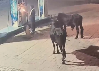 मगरलोड में पेट्रोल पंप को आग के हवाले करने की कोशिश, दो बाइक जलीं; CCTV में कैद हुई वारदात