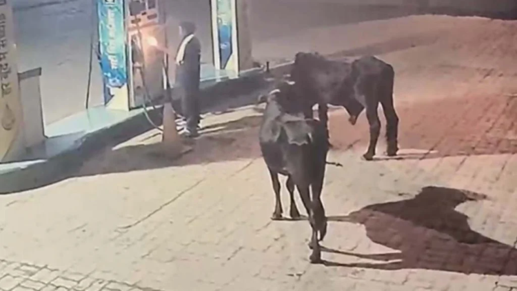 मगरलोड में पेट्रोल पंप को आग के हवाले करने की कोशिश, दो बाइक जलीं; CCTV में कैद हुई वारदात