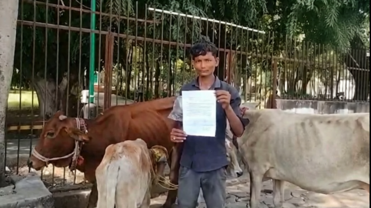 रायपुर कलेक्ट्रेट में मवेशियों के साथ पहुंचा किसान, भारतमाला परियोजना में घर उजड़ने के बाद मुआवजे और पशुओं के लिए जगह की मांग; कलेक्टर ने जांच का दिया आश्वासन