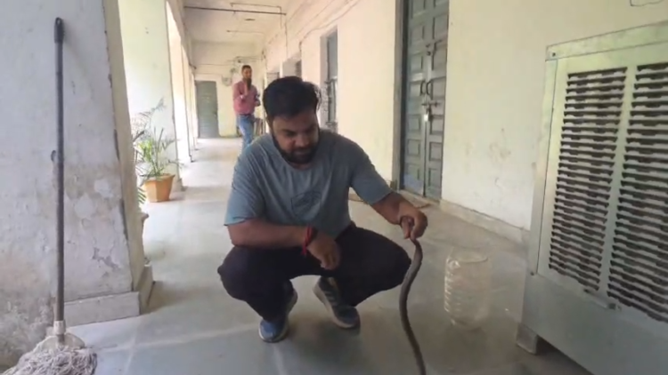बेमेतरा में ग्रामीण रोजगार और विकास कार्यों का आयुक्त तारन प्रकाश सिन्हा ने किया निरीक्षण, समय पर मजदूरी भुगतान के निर्देश